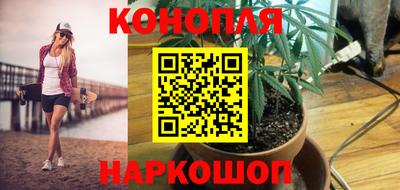 дживик Кандалакша