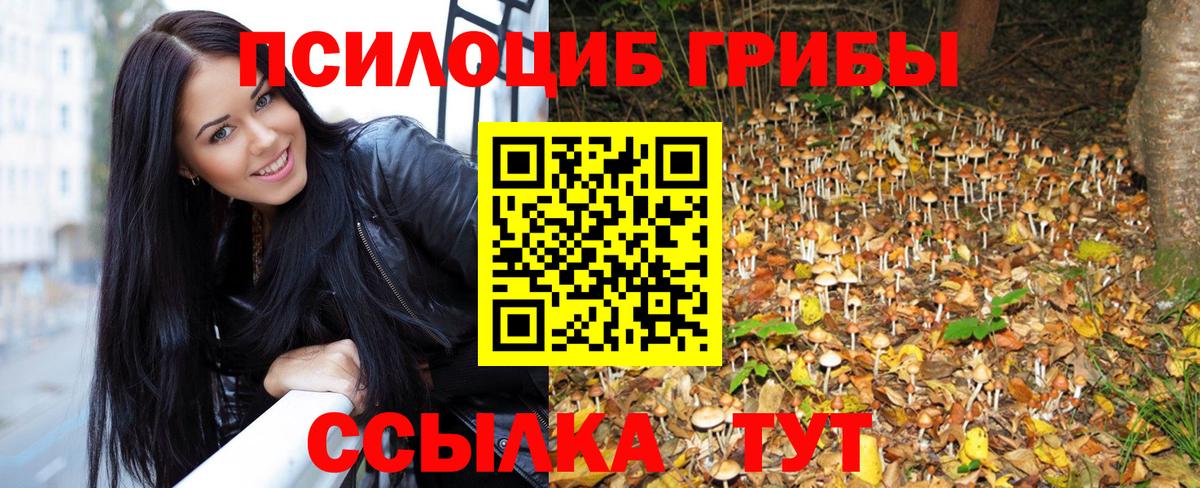 Куйбышев  Псилоцибиновые грибы GOLDEN TEACHER  Вход с VPN  Псилоцибиновые грибы прущие грибы 