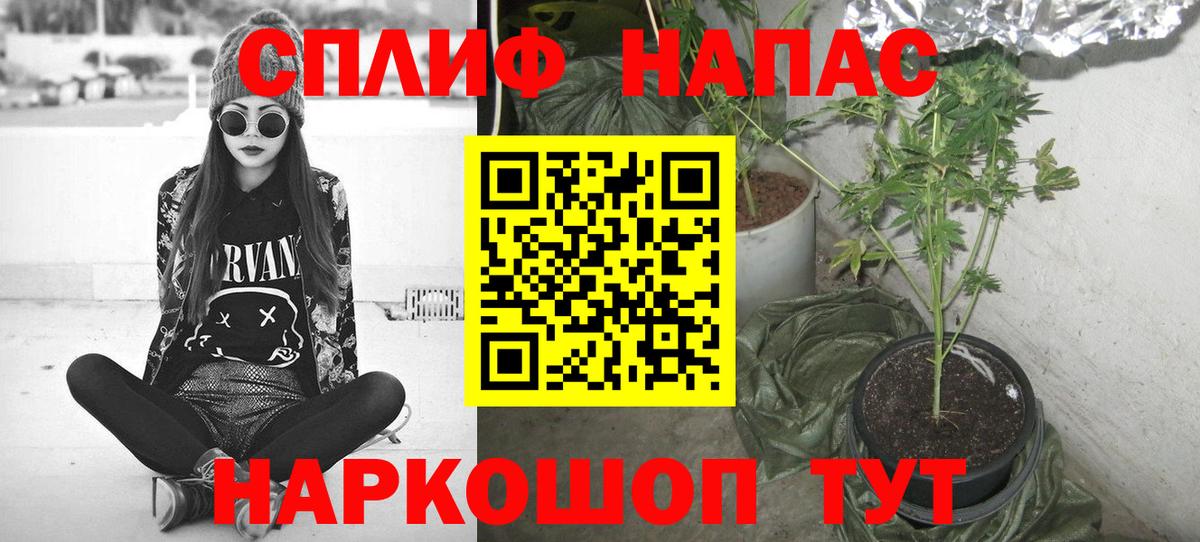 Бошки марихуана SATIVA & INDICA Куйбышев